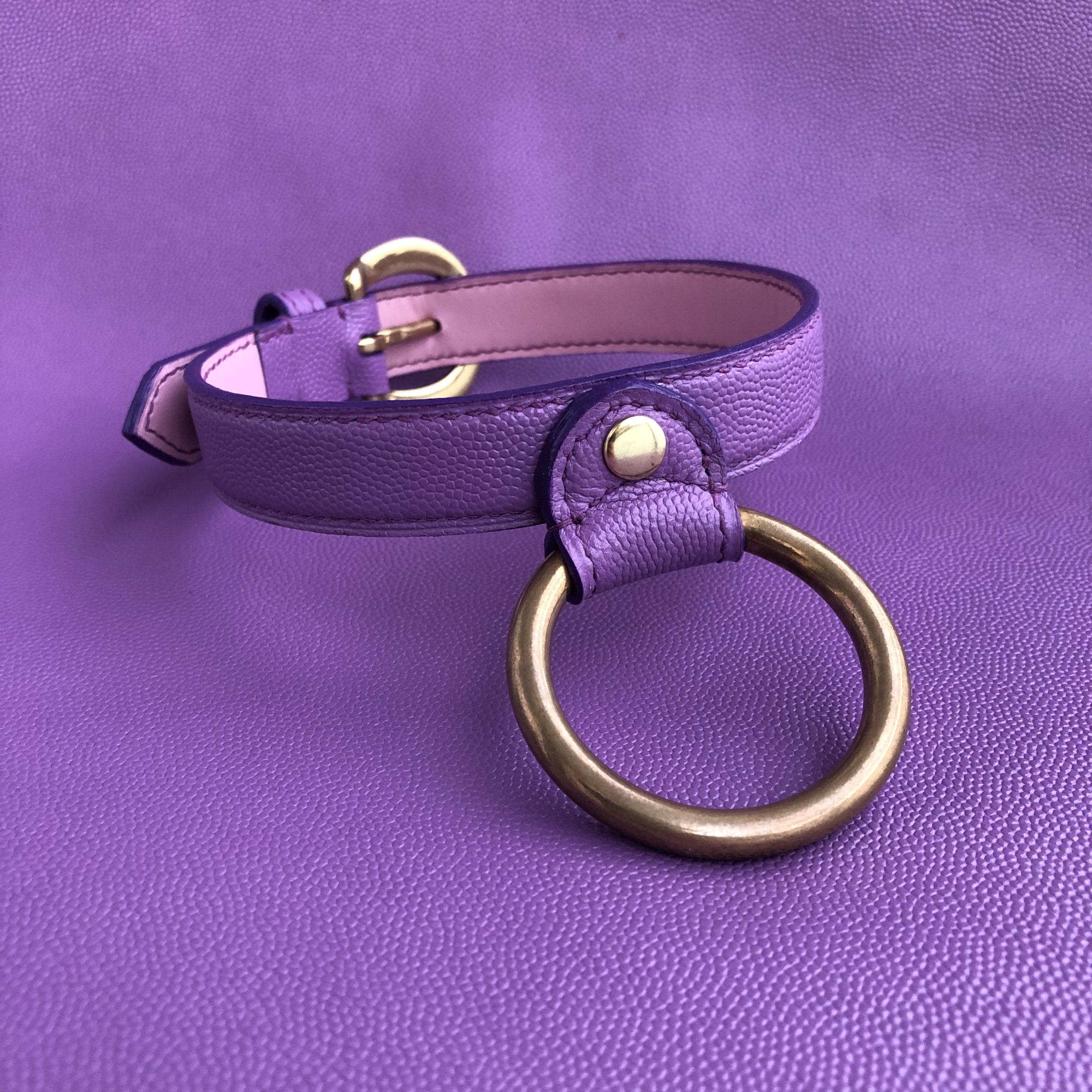 Purple Collar Front