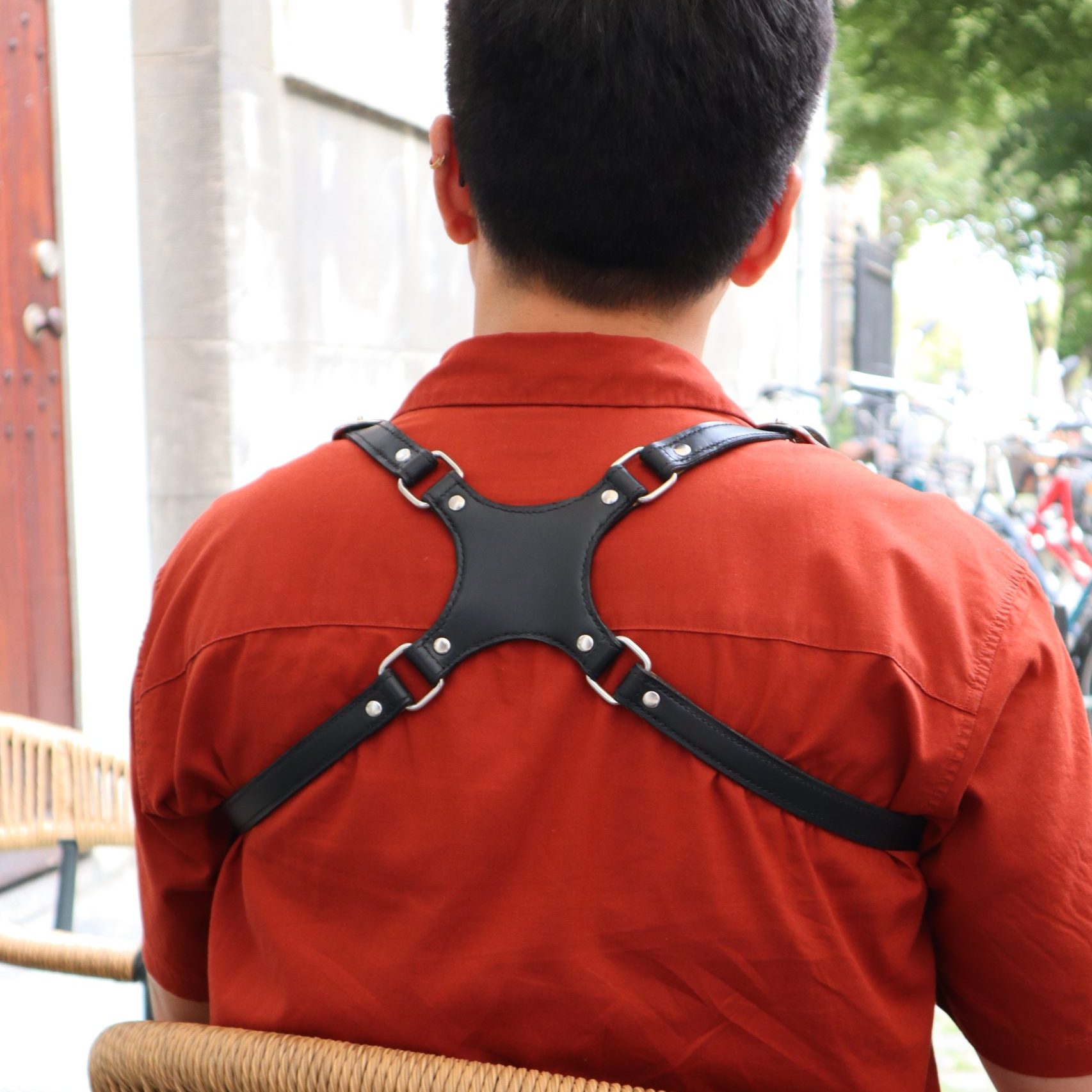 Black Harness Back
