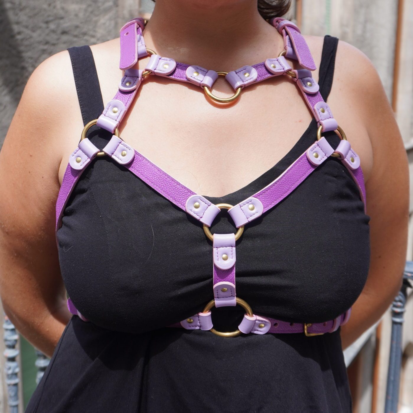 Purple Heart Harness Front
