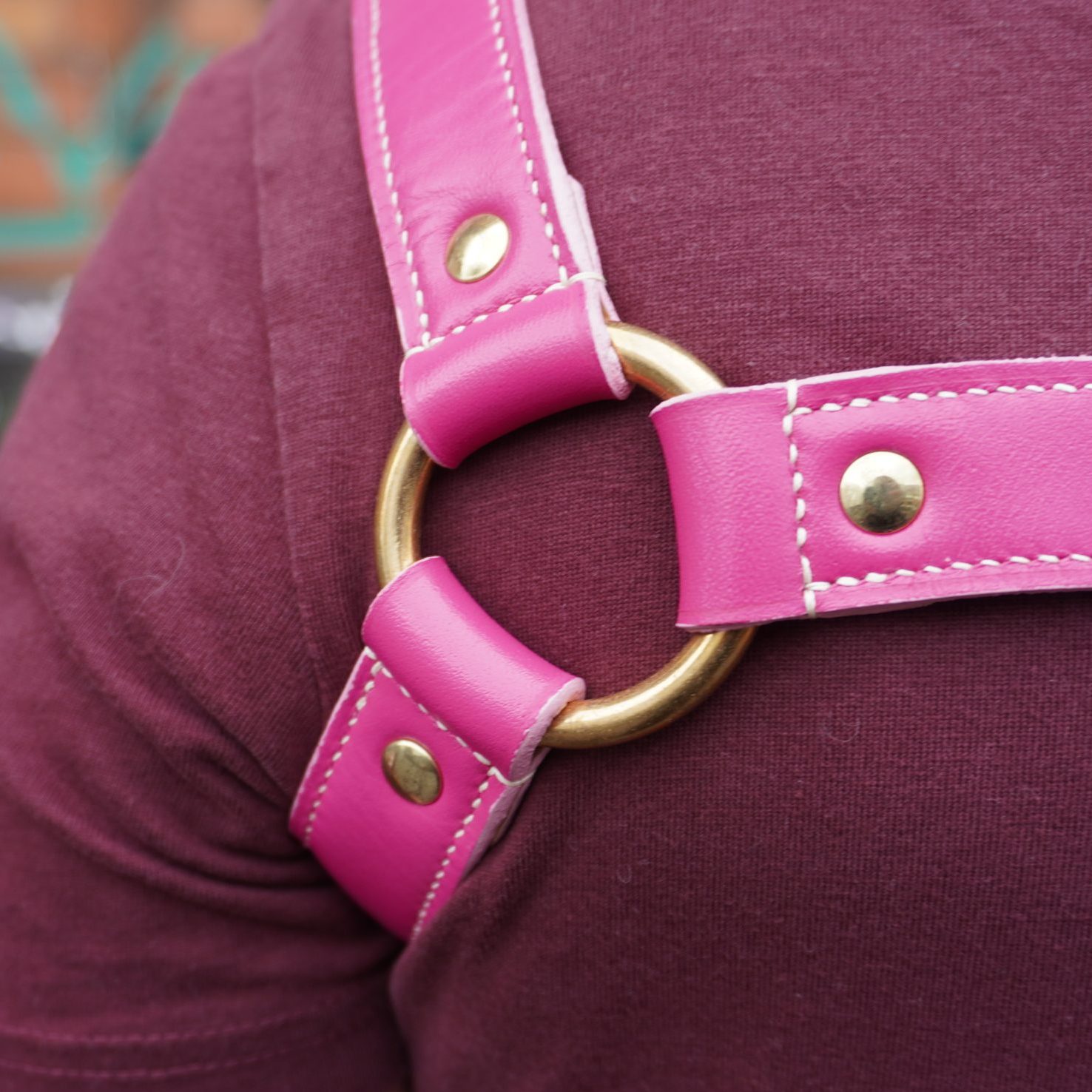 Bulldog Harness Details Left