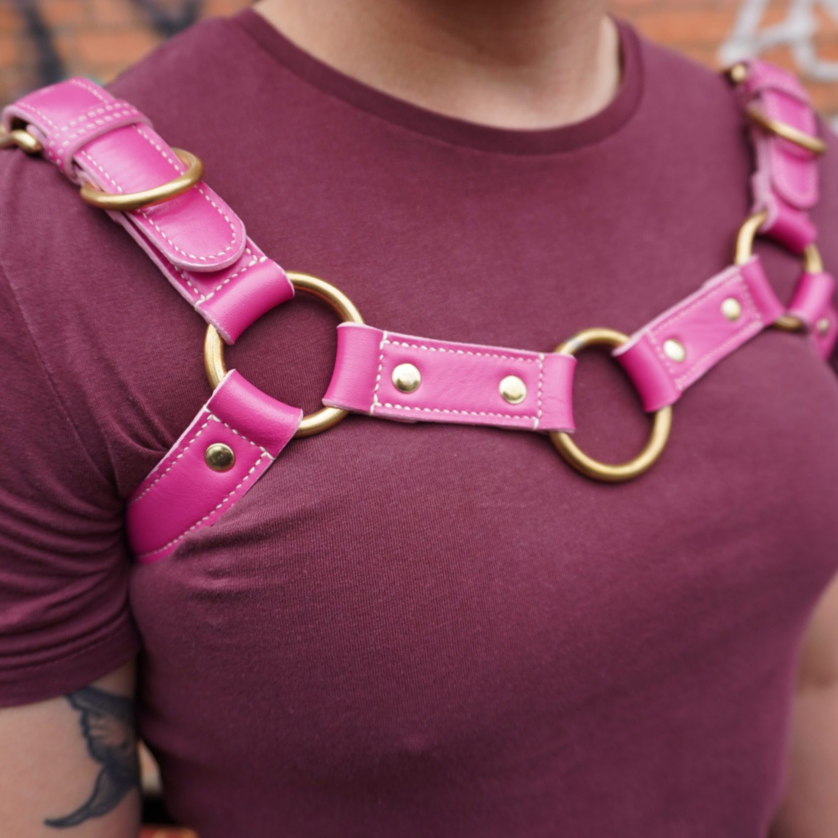 Bulldog Harness Closeup