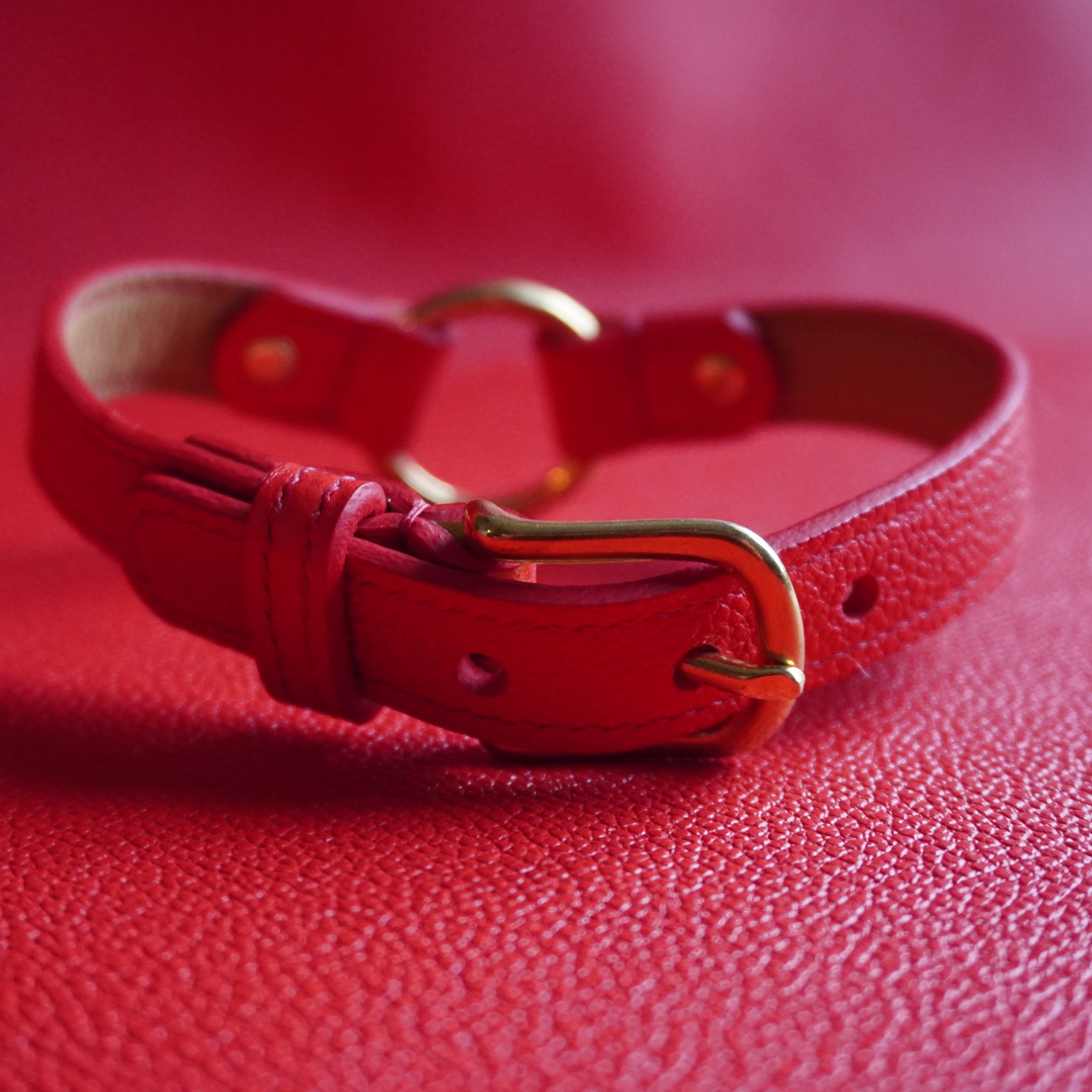 Simple Choker Red Back