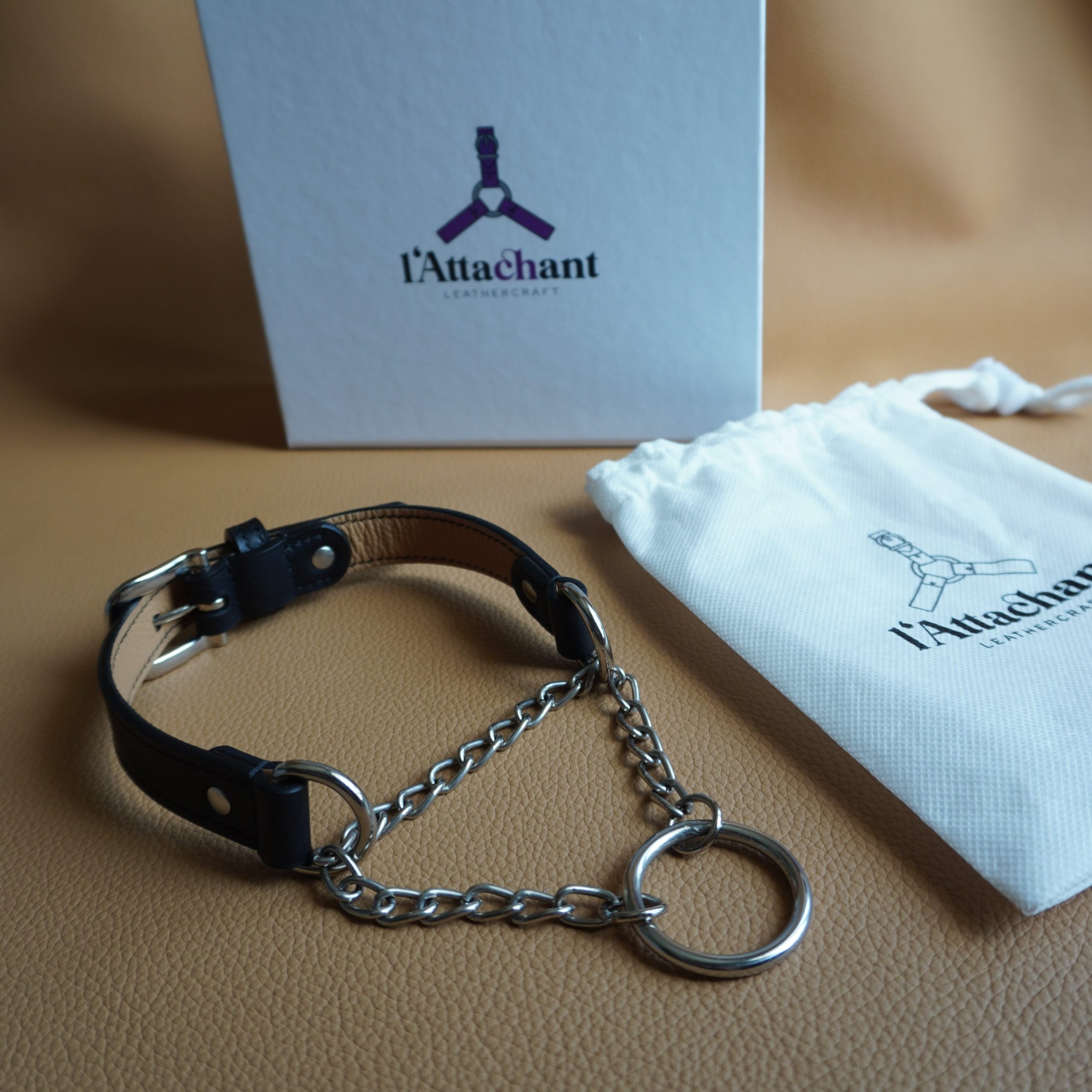 Slip-Chain Collar Black and Silver Box