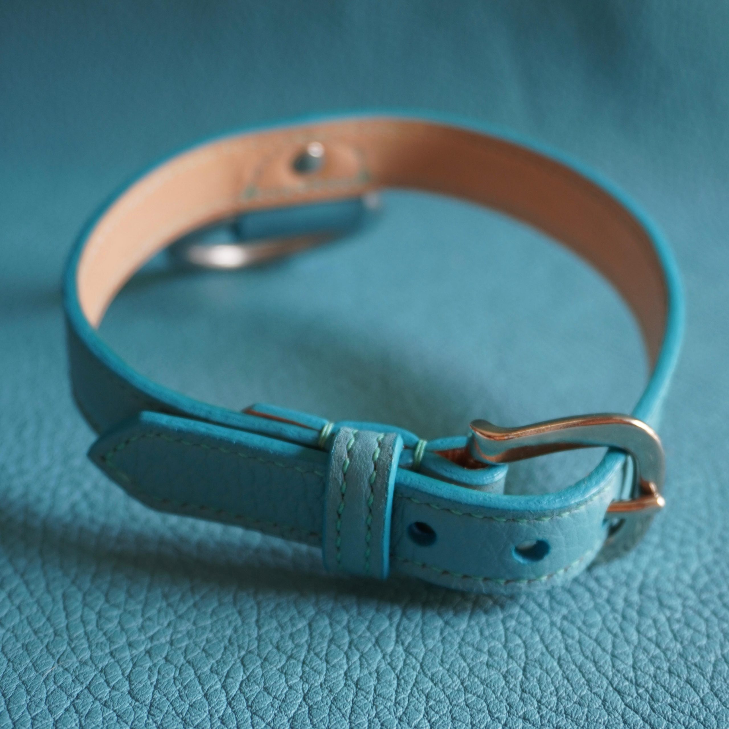 Nathalie Choker Turquoise Back