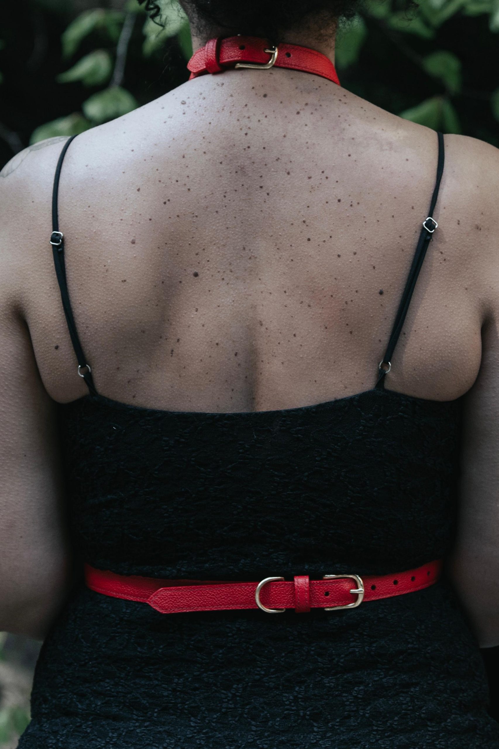Maggiore Harness Back