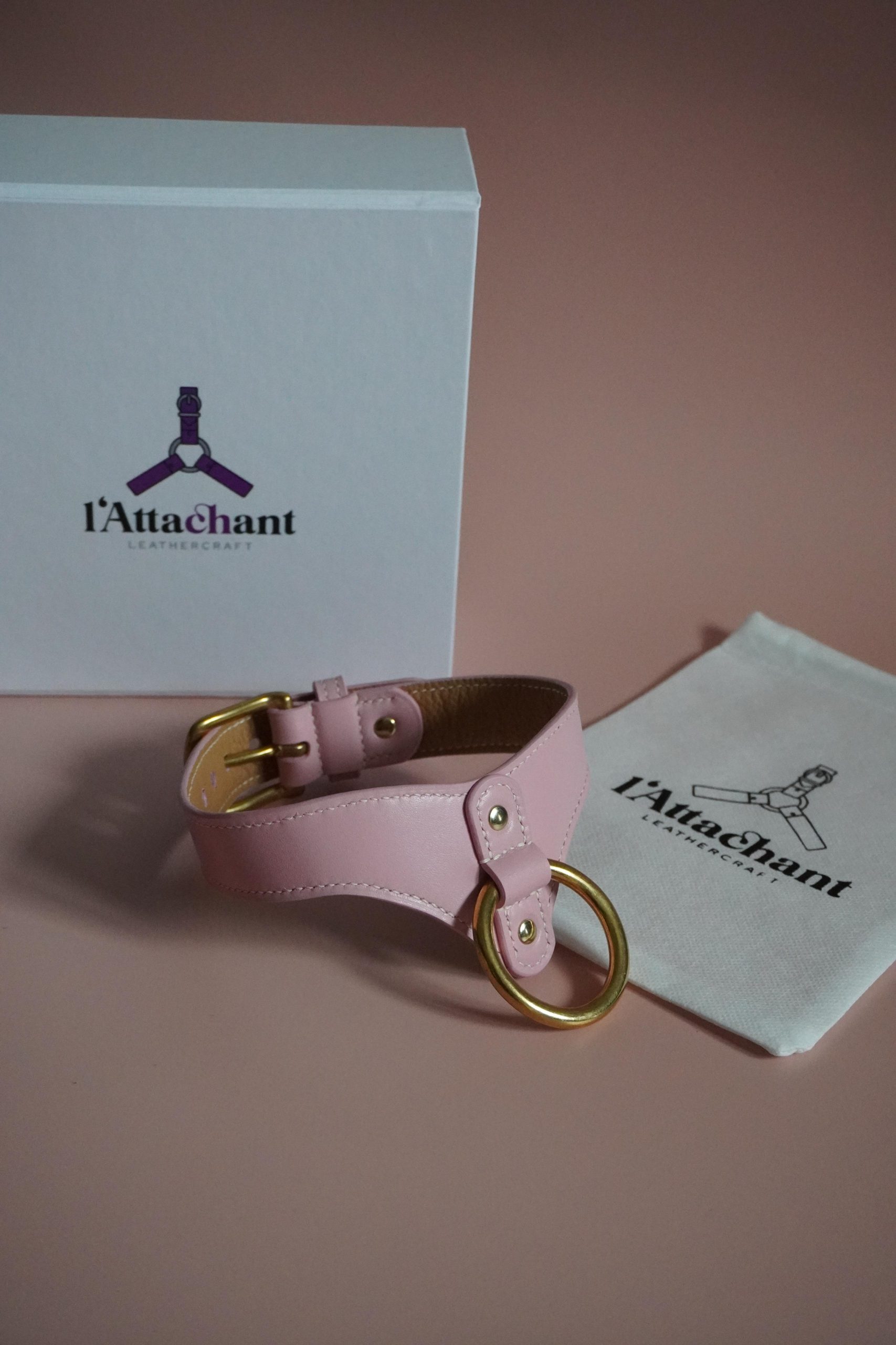 Aline Choker Pink Packaging