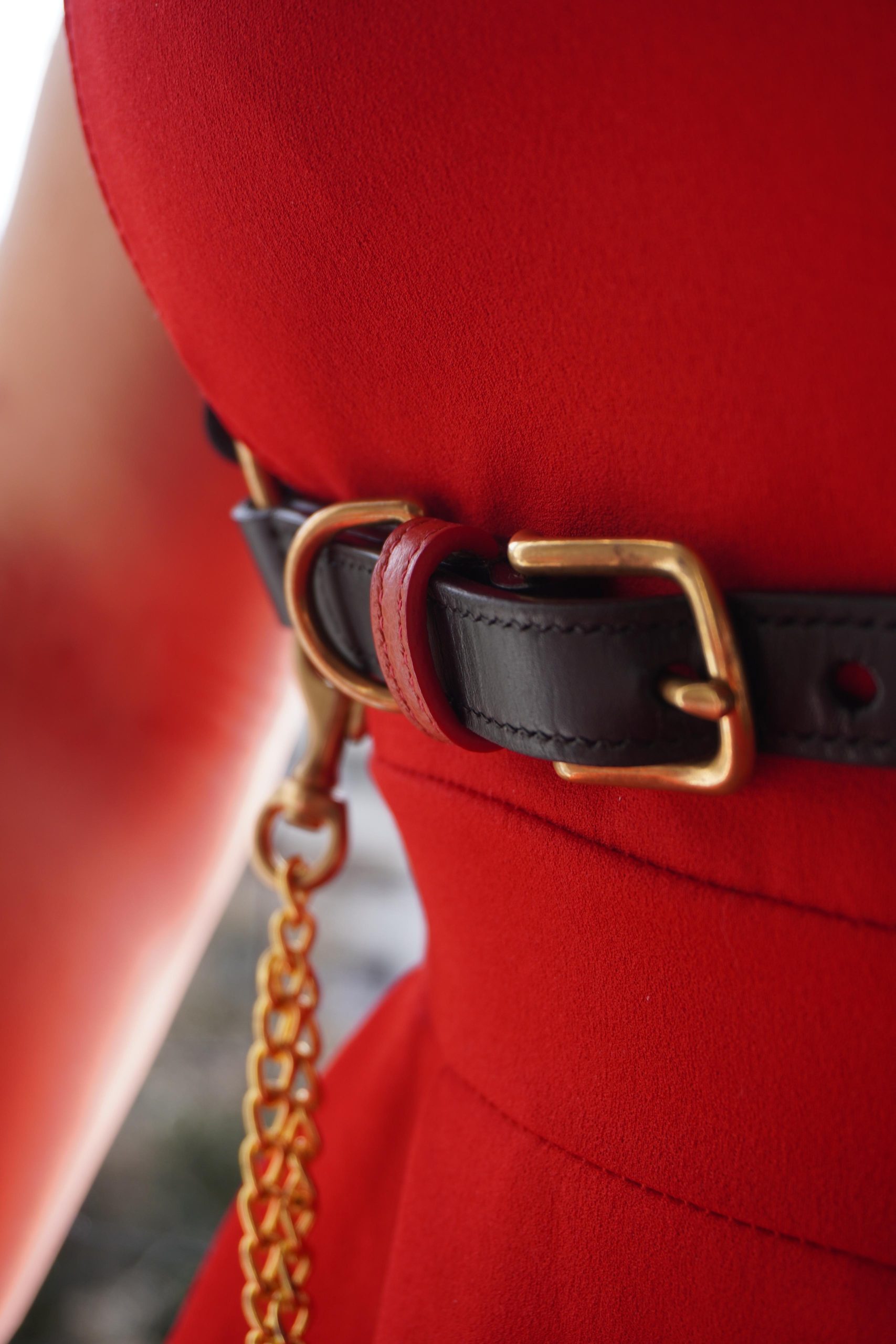 Joux Harness Buckle