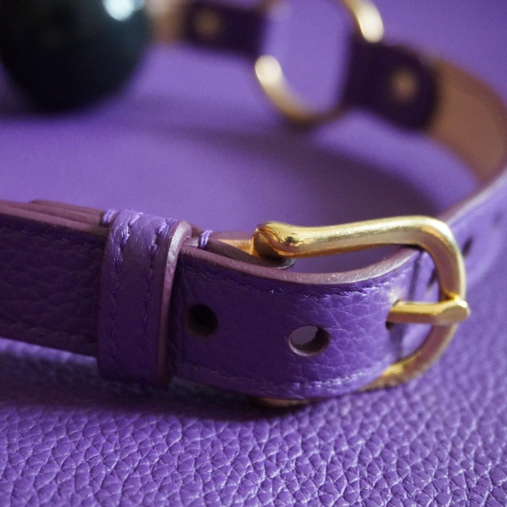 Ball Gag Purple Buckle