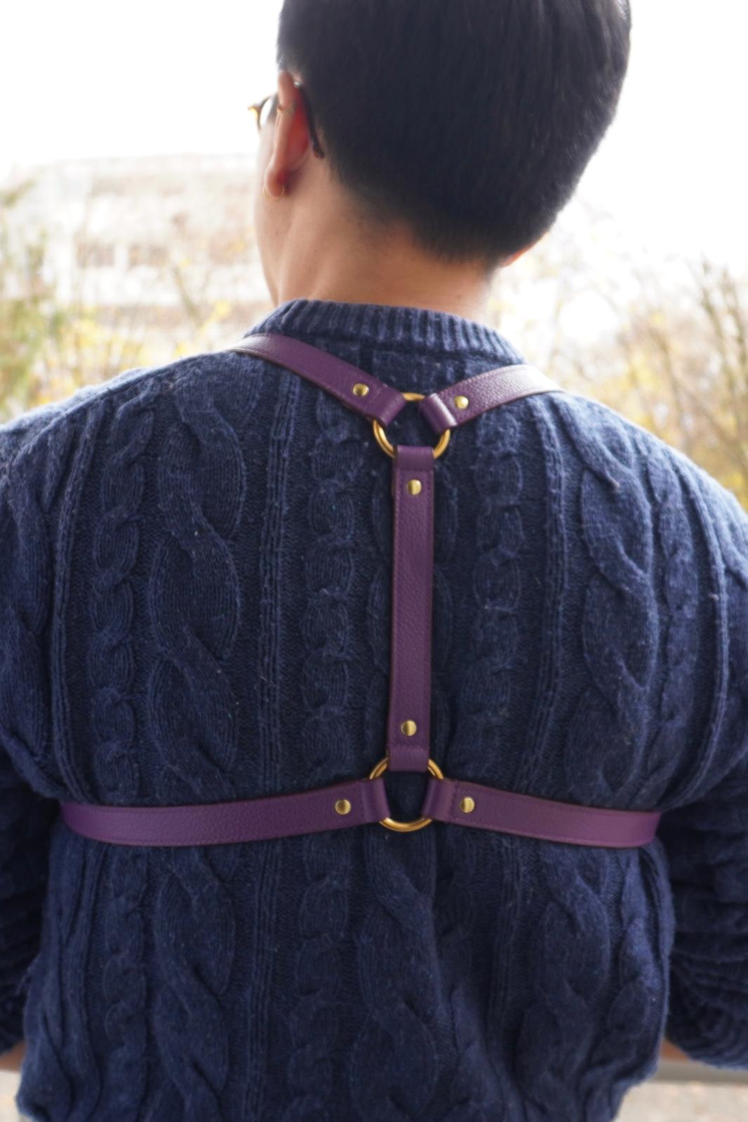 Joux Harness Purple Back