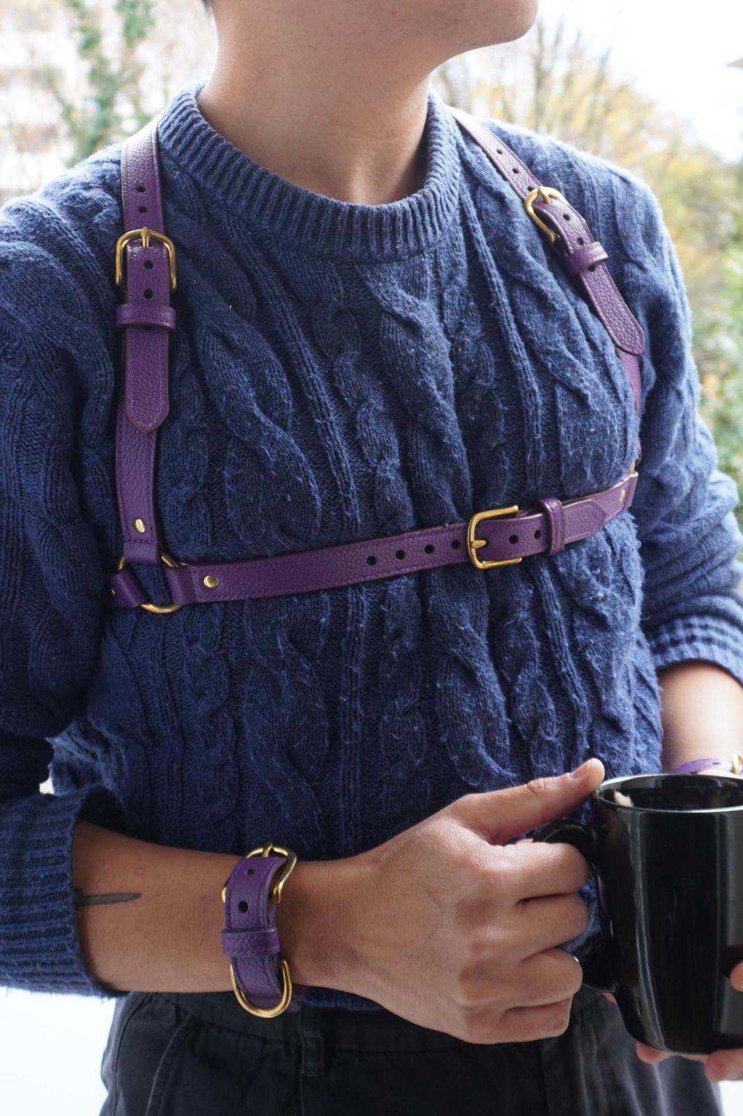 Joux Harness Purple Front